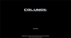 Desktop Screenshot of colungateam.com